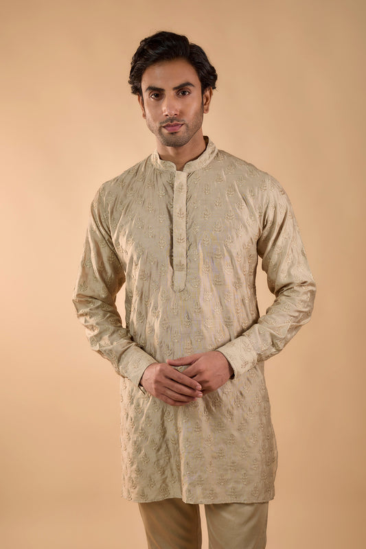 Beige Embroidered Kurta Set - Spring Break